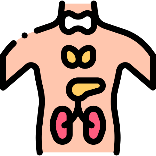 Endocrinologist Icon