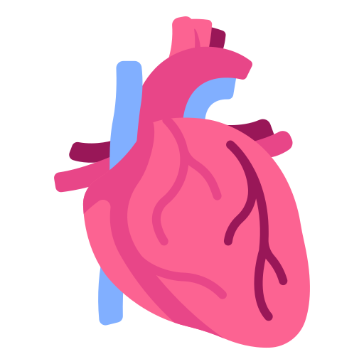 Cardiology Icon